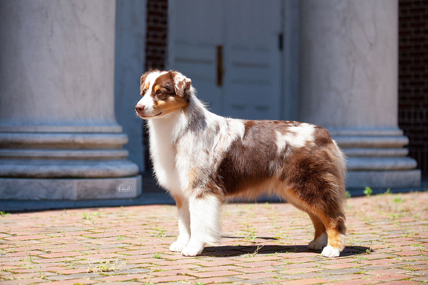 Oakhurst Arborview Spice It Up! FDC "Zuma"